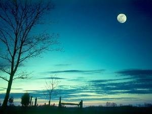 秋夜望月