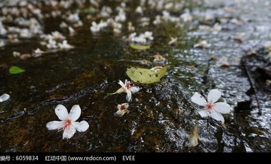西江月·江上桃花流水