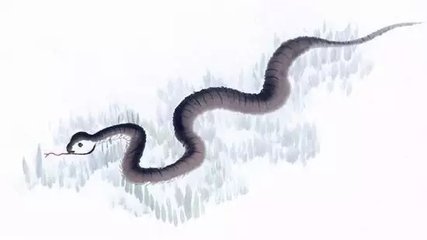 灵蛇见少林寺