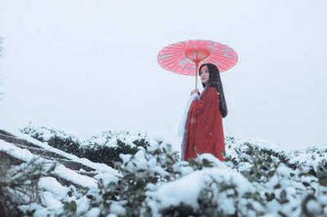 忆秦娥·花似雪
