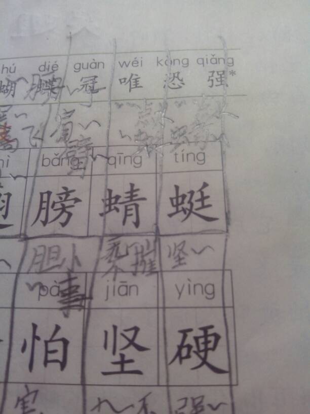衷的组词(慈的组词和拼音)