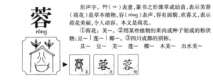 紧的组词(紧字开头的词语)
